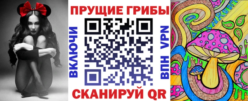 Псилоцибиновые грибы Psilocybe  Темников 